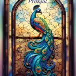 Pranjul dress material